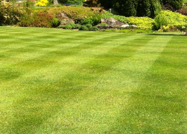 Commercial Grass Cutting in North Augusta