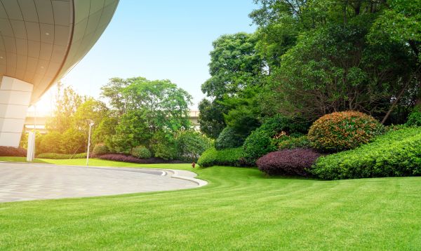 Commercial Lawn Mowing in North Augusta