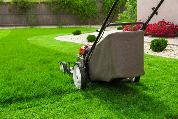 Grass Mowing in North Augusta