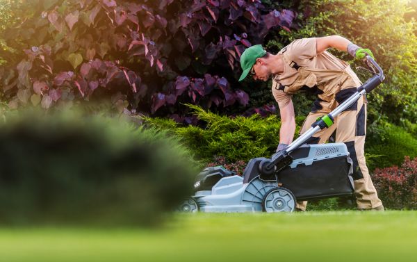 Lawn Care And Maintenance in North Augusta