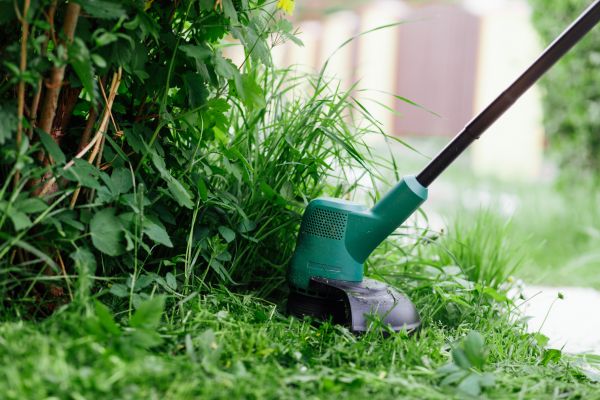 Weed Whacking in North Augusta