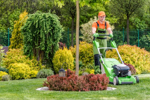 Yard Service in North Augusta