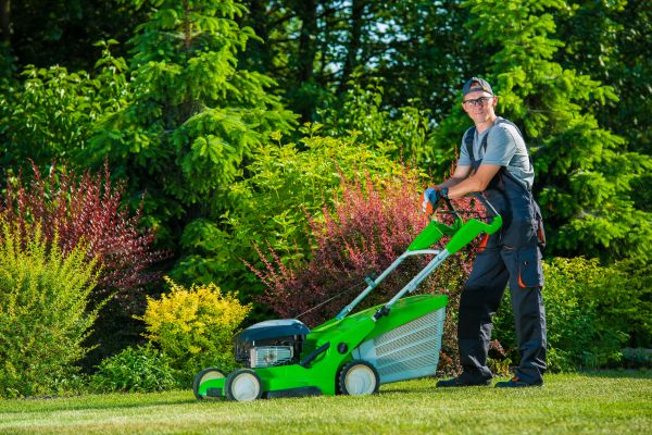 Yard Work Service in North Augusta
