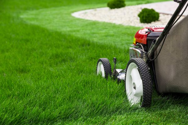 Lawn Service in North Augusta
