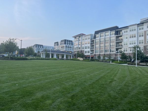 Cost of Urban Lawn Care in North Augusta