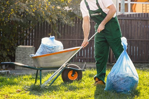 Yard Cleaning in North Augusta