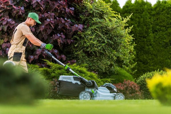 Lawn Management in North Augusta