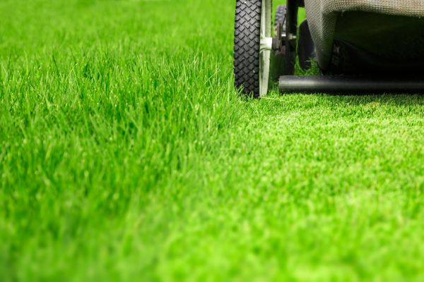 Weekly Lawn Care in North Augusta