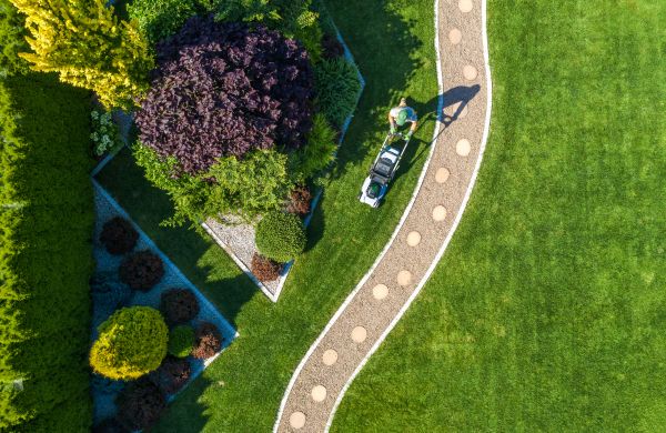Cost of Mowing And Landscaping in North Augusta