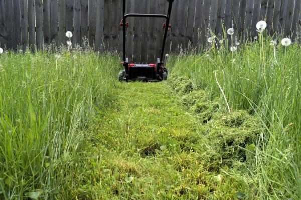 High Grass Mowing in North Augusta