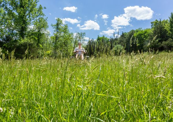 Long Grass Mowing in North Augusta
