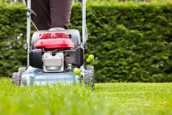 Grass Trimming Service in North Augusta