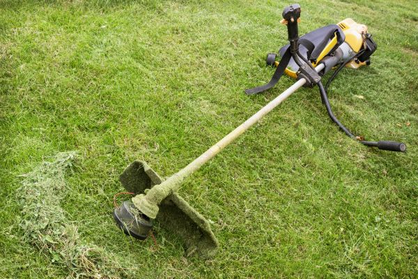 Hillside Weed Whacking in North Augusta