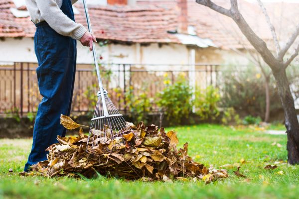 Routine Lawn Maintenance in North Augusta