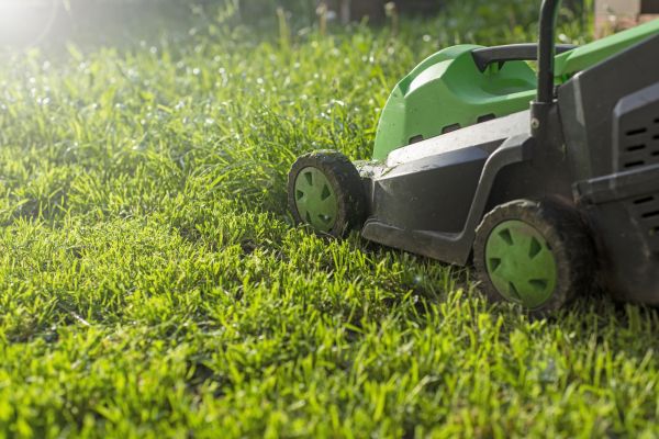 Cost of Residential Lawn Maintenance in North Augusta