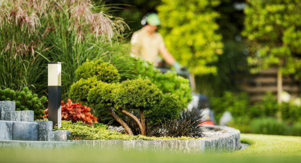 Residential Yard Maintenance in North Augusta