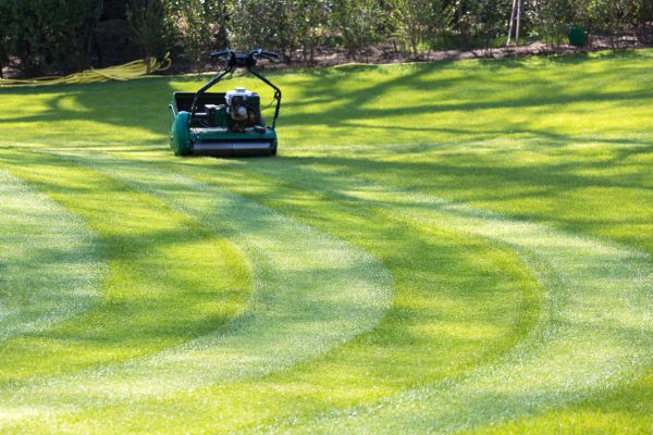 Business Lawn Mowing in North Augusta