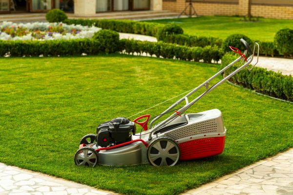Business Grass Cutting in North Augusta