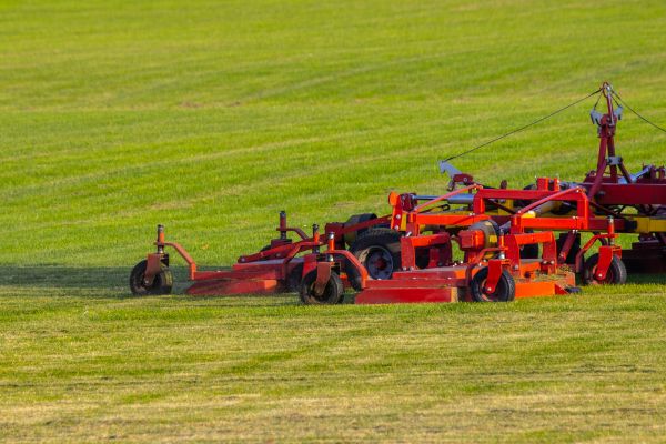 Industrial Lawn Service in North Augusta