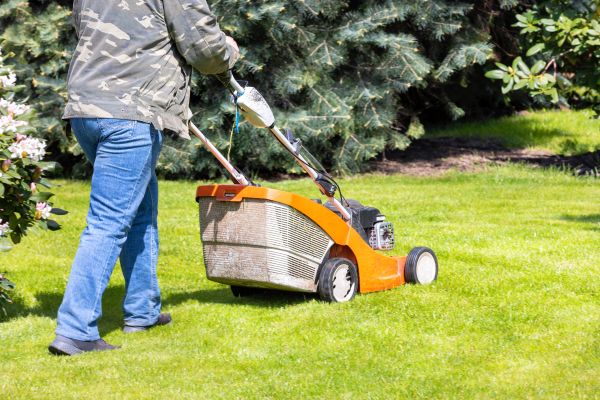 Springtime Lawn Care in North Augusta
