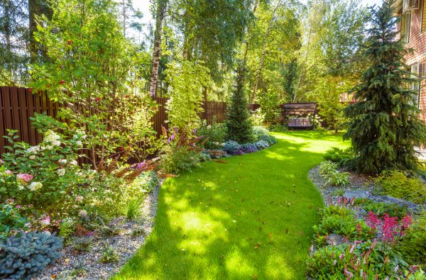 Spring Yard Maintenance in North Augusta