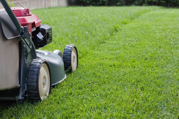 Spring Lawn Maintenance in North Augusta