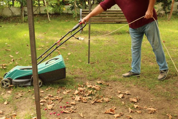 Leaves Mowing in North Augusta
