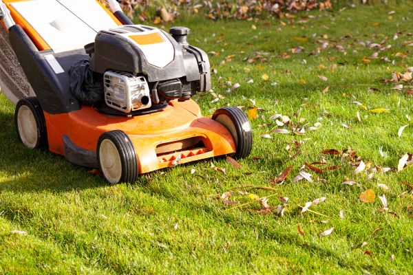 Cost of Fall Mowing in North Augusta