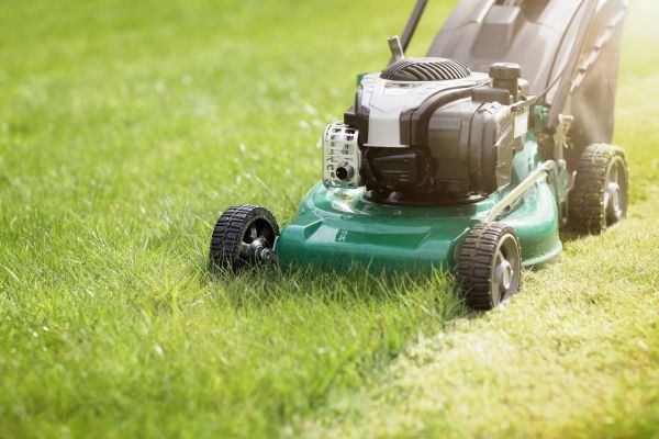 Spring Grass Trimming in North Augusta