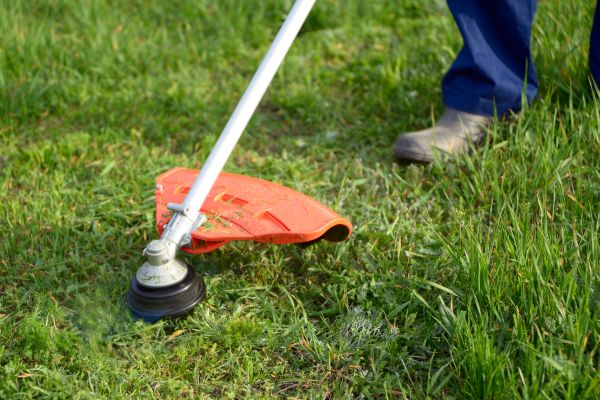 Lawn Weed Whacking in North Augusta
