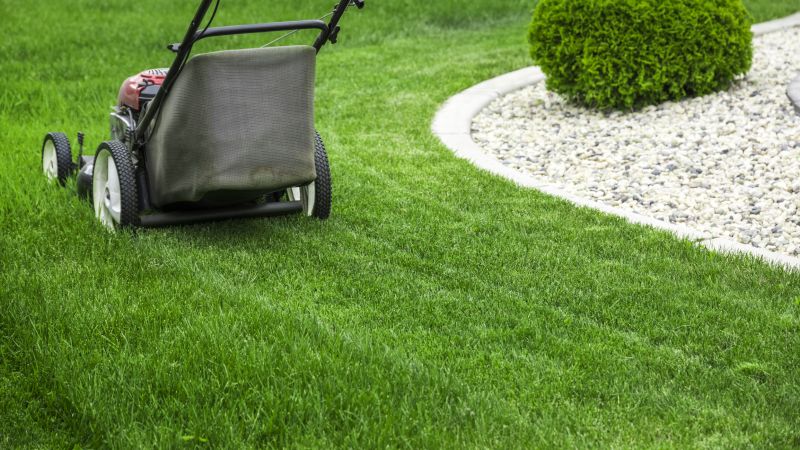 Lawn Cutting Service detail