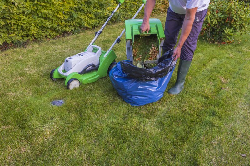 Lawn Clippings Cleanup