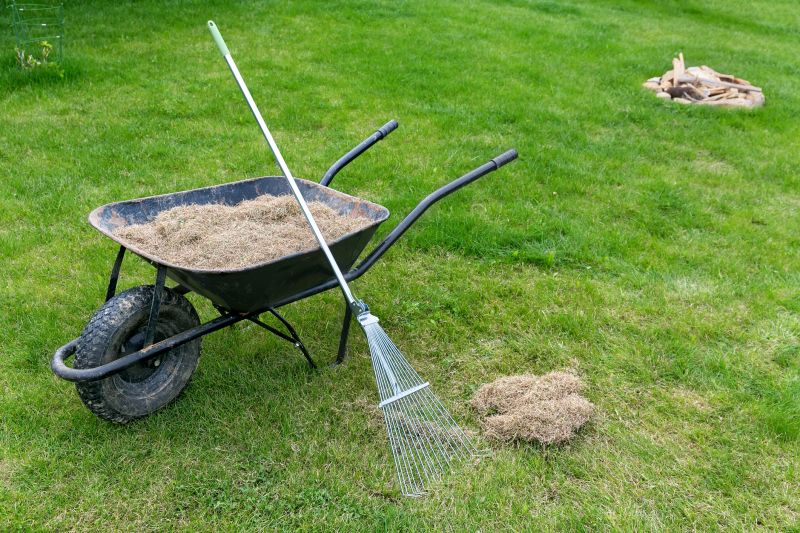 Thatch Removal Service