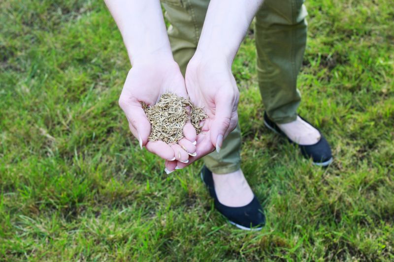 Spring and Summer Care